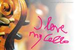 i love my celle,